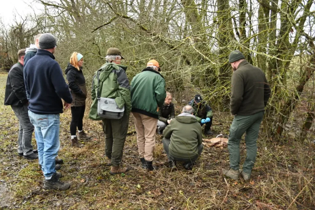 Luchsbeauftragte in Thüringen