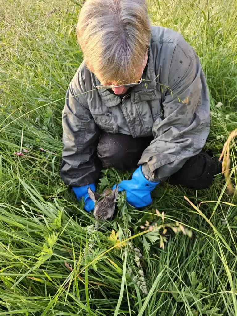 Rehkitzrettung 2025 im Gras