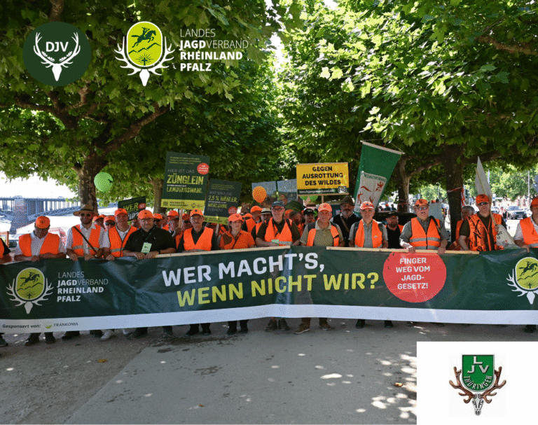 Demo Anfang Solidarität über Landesgrenzen hinweg
