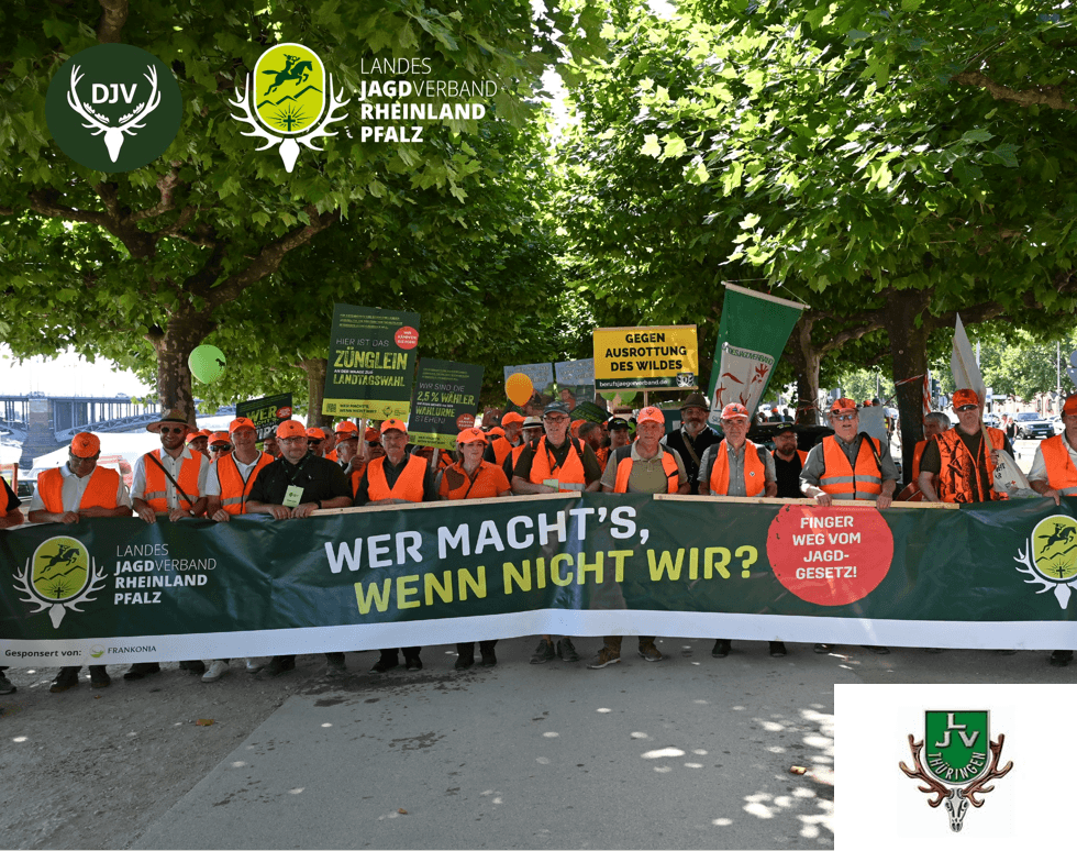 Demo Anfang Solidarität über Landesgrenzen hinweg