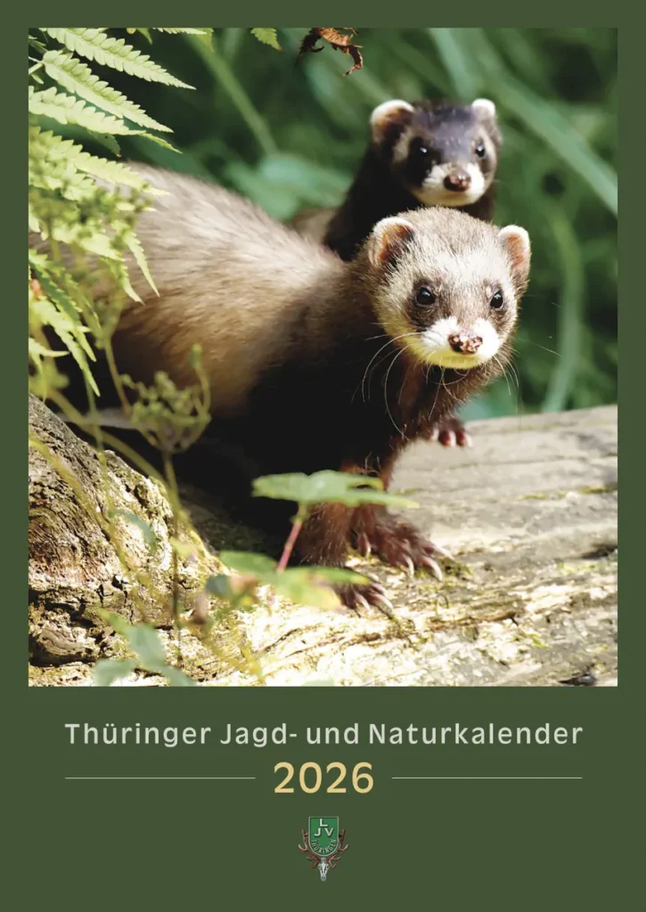 Titelbilkd des LJVT Wandkalender 2025