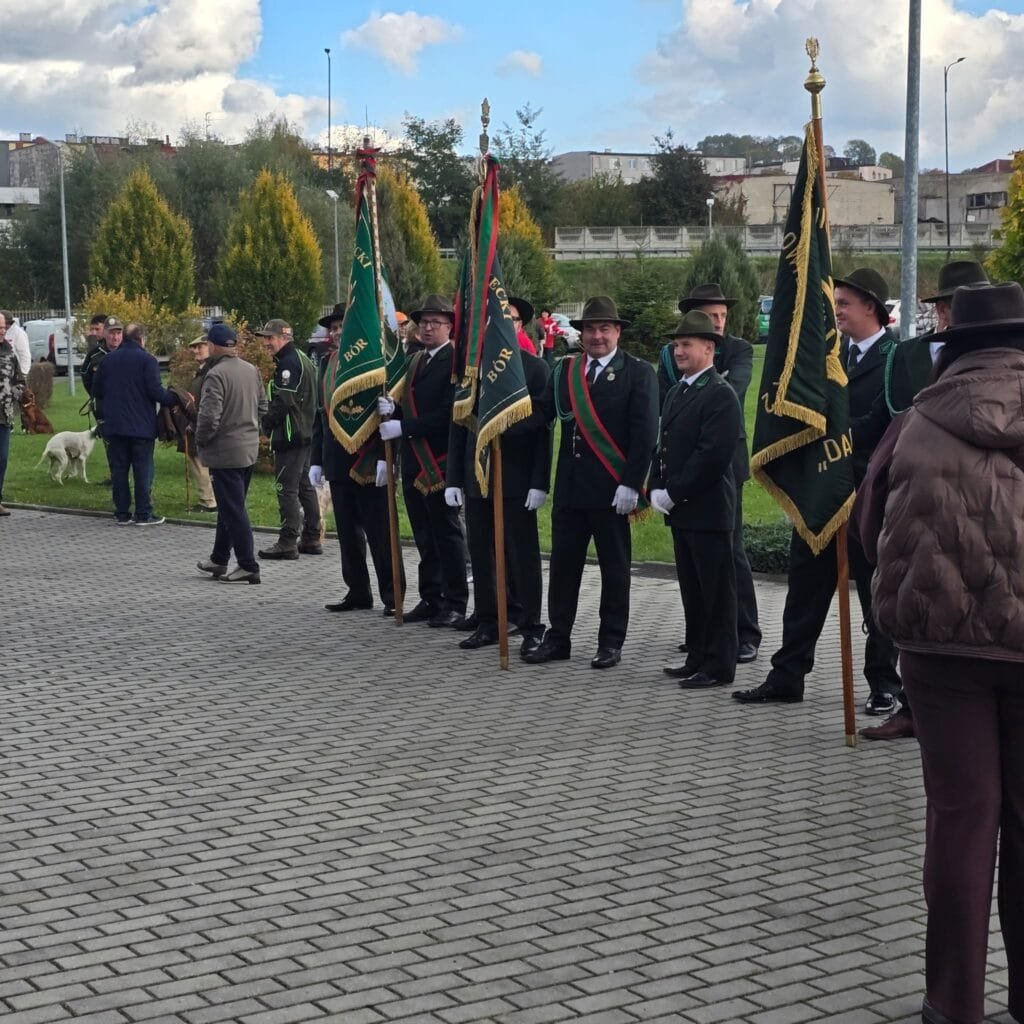 bei der WM Jagdhunde 2025