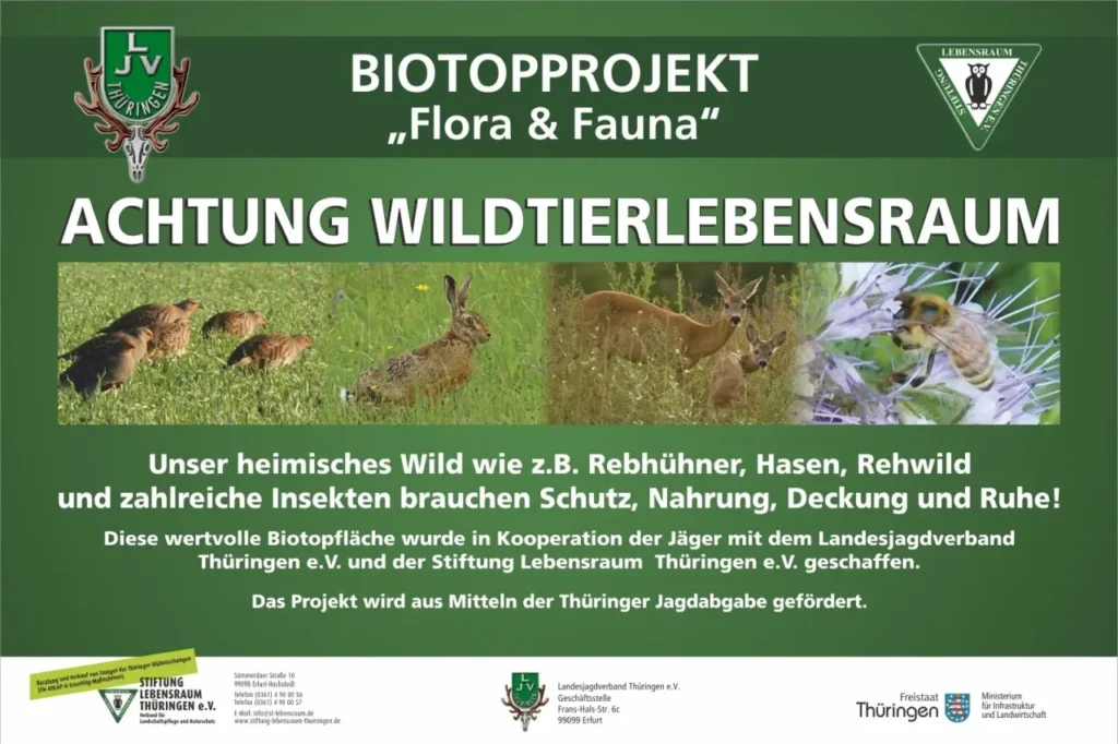 Flyer zum Projekt Flora und Fauna 2026