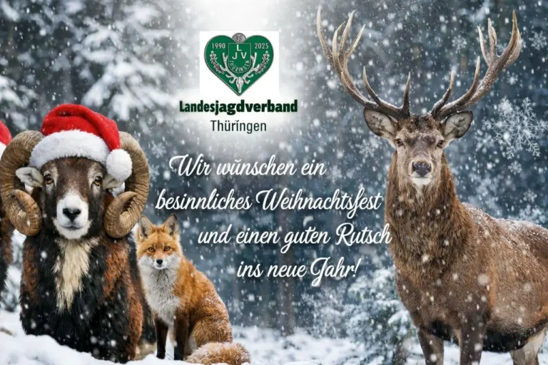 Weihnachten 2025 Grüße des LJVT