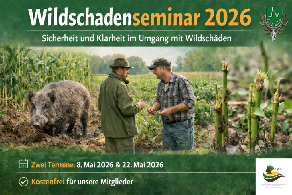 Teaser zum Waldschadenseminar 2026