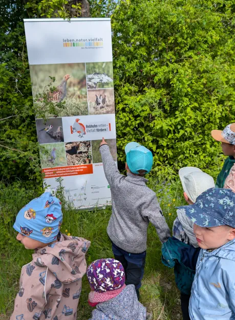 Kinder auf dem Feld zur Rebhuhn-Brutsaison 2026