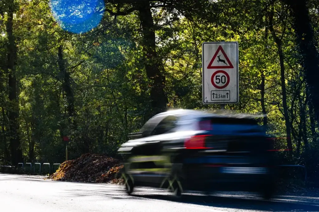 Gefahr Wildunfälle- Auto am Straßenrand