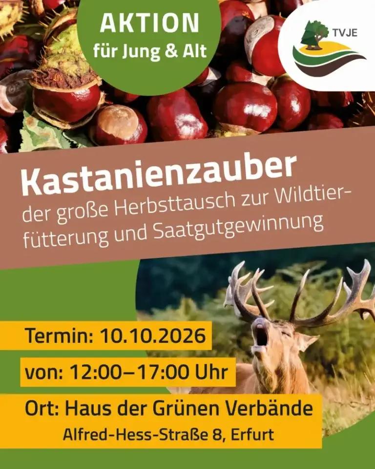 Poster zu Kastanienzauber 2026 in Thüringen