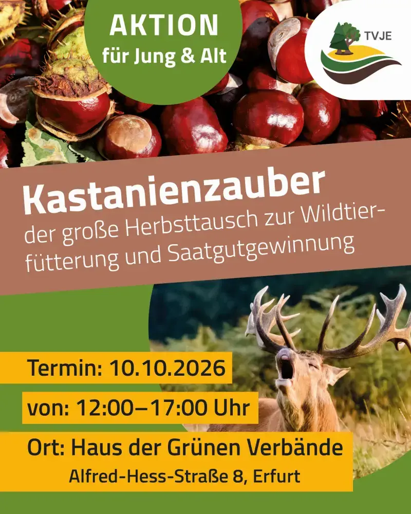 Poster zu Kastanienzauber 2026 in Thüringen