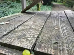 Bild vom Drückjagdbock mit Drahtgeflecht