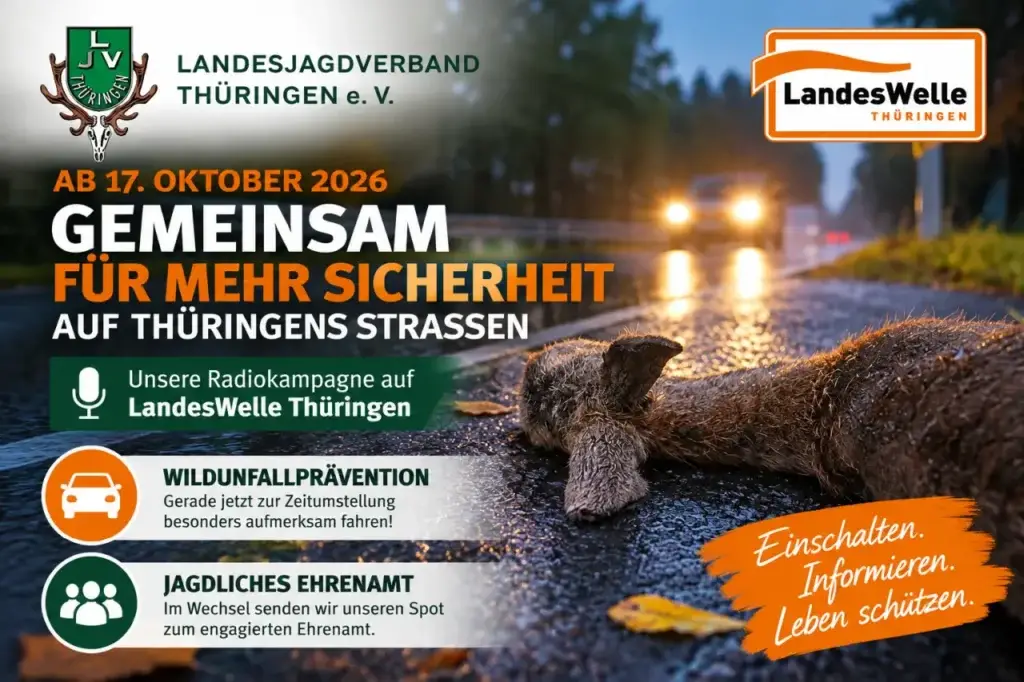 Infografik zur Radiokampagne Wildunfälle vermeiden